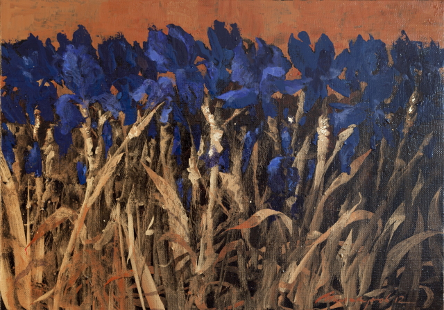 Ирисовое утро